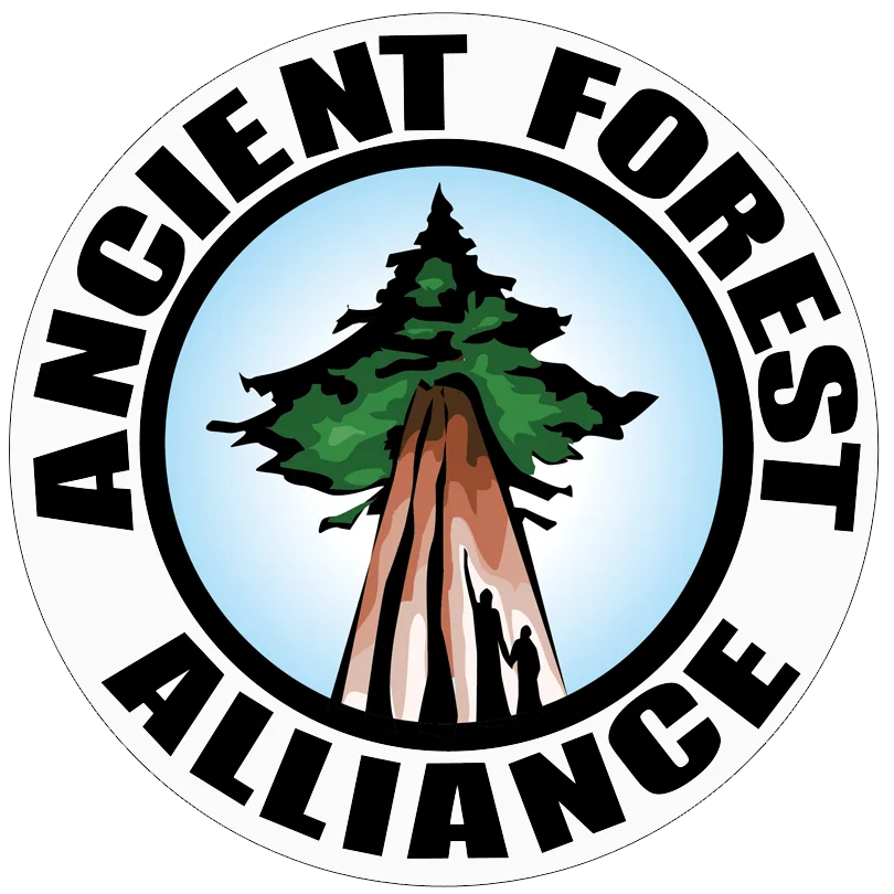 Ancient Forest Alliance British Columbia