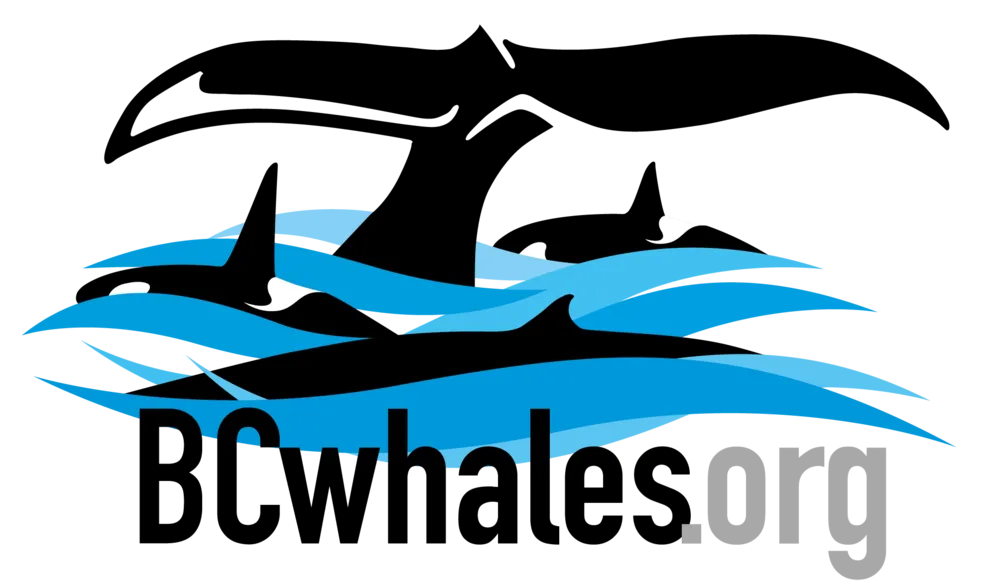 BCWhales.org